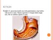 Prezentācija 'Gremošanas orgānu sistēma', 5.