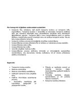Konspekts 'Transporta loģistika', 4.