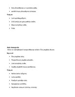 Konspekts 'Transporta loģistika', 6.