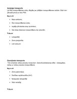 Konspekts 'Transporta loģistika', 7.