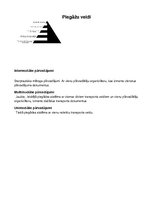 Konspekts 'Transporta loģistika', 9.