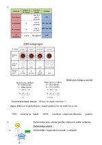 Konspekts 'Ģenētika', 1.