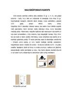 Referāts 'Burtu vēsture', 17.