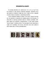 Referāts 'Burtu vēsture', 19.