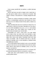 Referāts 'Burtu vēsture', 20.