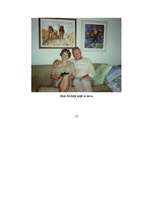 Referāts 'Trimdas tēma Jāņa Klīdzēja romānā "Bārenis"', 17.