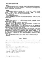 Konspekts 'Konspekts seno laiku vēsturē', 14.