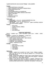 Konspekts 'Konspekts seno laiku vēsturē', 28.