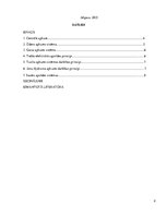 Referāts 'Apkures sistēmas', 2.