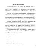 Referāts 'Apkures sistēmas', 6.