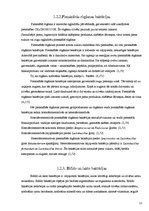 Referāts 'Bifido un lakto baktēriju sastopamība atsevišķos skābpiena produktos un to ietek', 11.