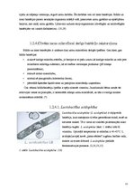 Referāts 'Bifido un lakto baktēriju sastopamība atsevišķos skābpiena produktos un to ietek', 12.