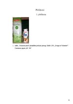 Referāts 'Bifido un lakto baktēriju sastopamība atsevišķos skābpiena produktos un to ietek', 30.