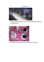 Referāts 'Bifido un lakto baktēriju sastopamība atsevišķos skābpiena produktos un to ietek', 32.