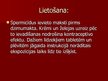 Prezentācija 'Kontracepcijas līdzekļi: barjermetodes', 11.