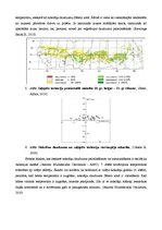 Referāts 'Klimatisko rādītāju izvērtējums. Sāhela zona, tās mainība un klimatisko pārmaiņu', 7.