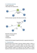 Referāts 'Bezvadu sensoru tīkli', 12.