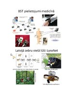 Referāts 'Bezvadu sensoru tīkli', 26.