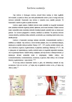 Referāts 'Rotējošās eņģes ceļa endoprotēze', 4.