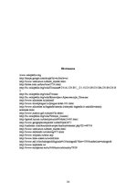 Referāts 'Jaunas ceļojumu programmas izstrāde "Rīga - Polija - Čehija - Austrija - Rīga" m', 24.