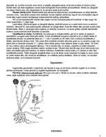 Konspekts 'Sēņu valsts', 2.