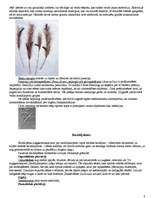 Konspekts 'Sēņu valsts', 4.