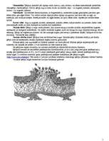 Konspekts 'Sēņu valsts', 7.