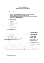 Paraugs 'Laboratorijas darbs "Paātrinātas kustības pētīšana"', 1.