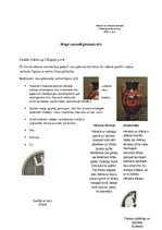 Konspekts 'Amforas', 3.