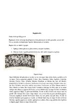 Konspekts 'Amforas', 6.