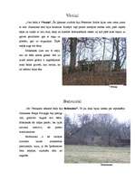 Referāts 'Pētera Upenieka grāmatā "Balandnieki" minētās mājas pirms 100 gadiem un šodien', 11.