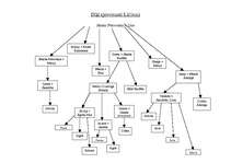 Referāts 'Pētera Upenieka grāmatā "Balandnieki" minētās mājas pirms 100 gadiem un šodien', 24.