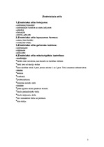 Konspekts 'Latviešu literārās valodas stili', 3.