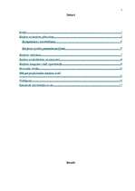 Referāts 'Karjera', 1.