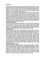 Eseja 'Globalizācija', 1.