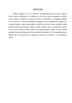 Referāts 'Speciālie masīvi un to lietošana', 2.