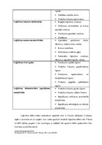 Referāts 'Uzņēmuma noliktavas organizācijas pētījums', 12.