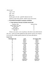 Konspekts 'Bērna attīstības izpēte', 3.