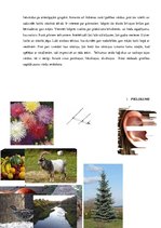 Konspekts 'Bērna attīstības izpēte', 11.