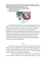 Konspekts 'Fenilketonūrija', 8.