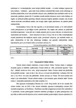 Referāts 'Alianšu veidošanās tendences avio industrijā Baltijā', 18.