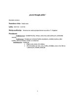 Konspekts 'Diennakts nometne', 3.