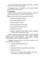 Konspekts 'Glomerulopātijas', 7.