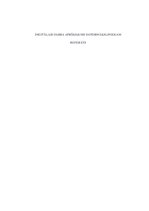 Referāts 'Digitālais darba aprīkojums datormāksliniekam', 1.