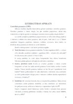 Referāts 'Digitālais darba aprīkojums datormāksliniekam', 4.