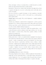 Referāts 'Digitālais darba aprīkojums datormāksliniekam', 8.