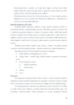 Referāts 'Digitālais darba aprīkojums datormāksliniekam', 9.