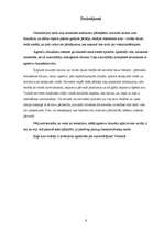 Referāts 'Agresīva autobraukšana', 8.