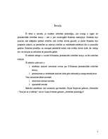 Referāts 'E.Eriksona psihosociālās attīstības teorija', 3.