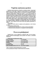 Biznesa plāns 'SIA "Cietais disks"', 4.